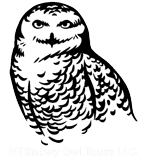 Michigan Snowy Owls Tours LLC logo header home page link